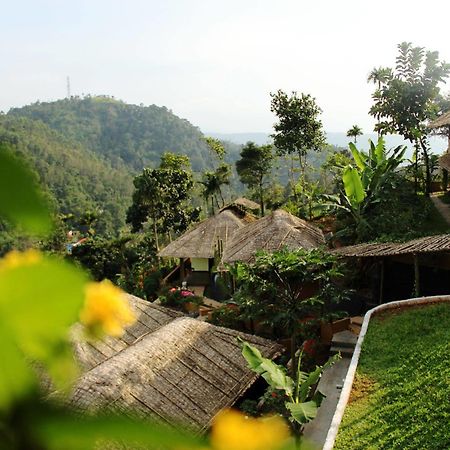 Hotel Eco Tones Munnar Exteriér fotografie